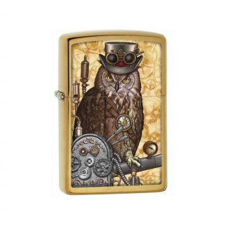 STEAMPUNK OWL 204B.CI404578