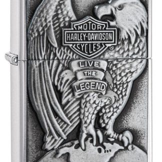 MADE IN USA EAGLE & GLOBE_BRUSHED CHROME - 200HD.H231