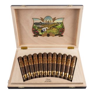 OLIVA SERIE V 135TH ANNIVERSARY LIMTED EDITION 12S
