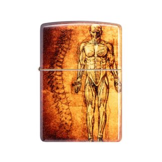 48458 ANATOMY DESIGN
